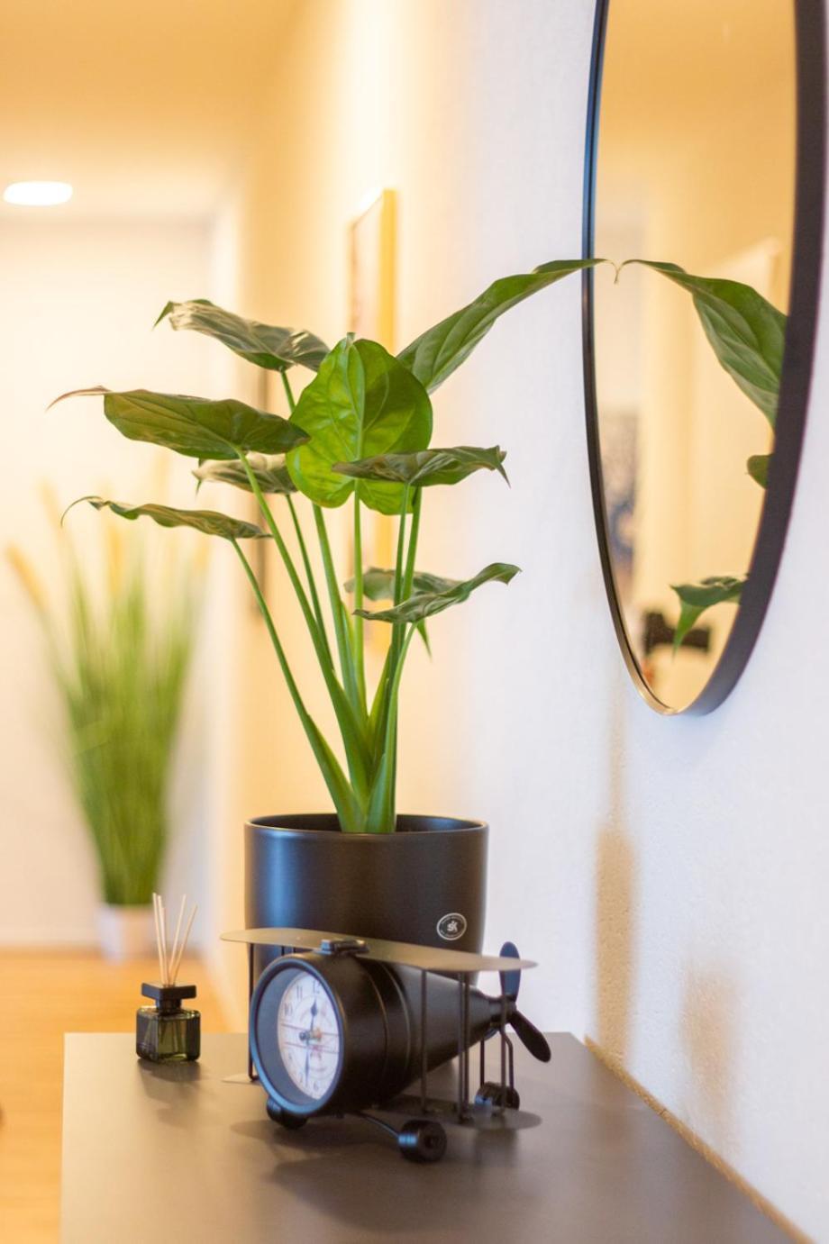 Special Einstein II Apartment Basel, Messe Kleinbasel 10-Star エクステリア 写真