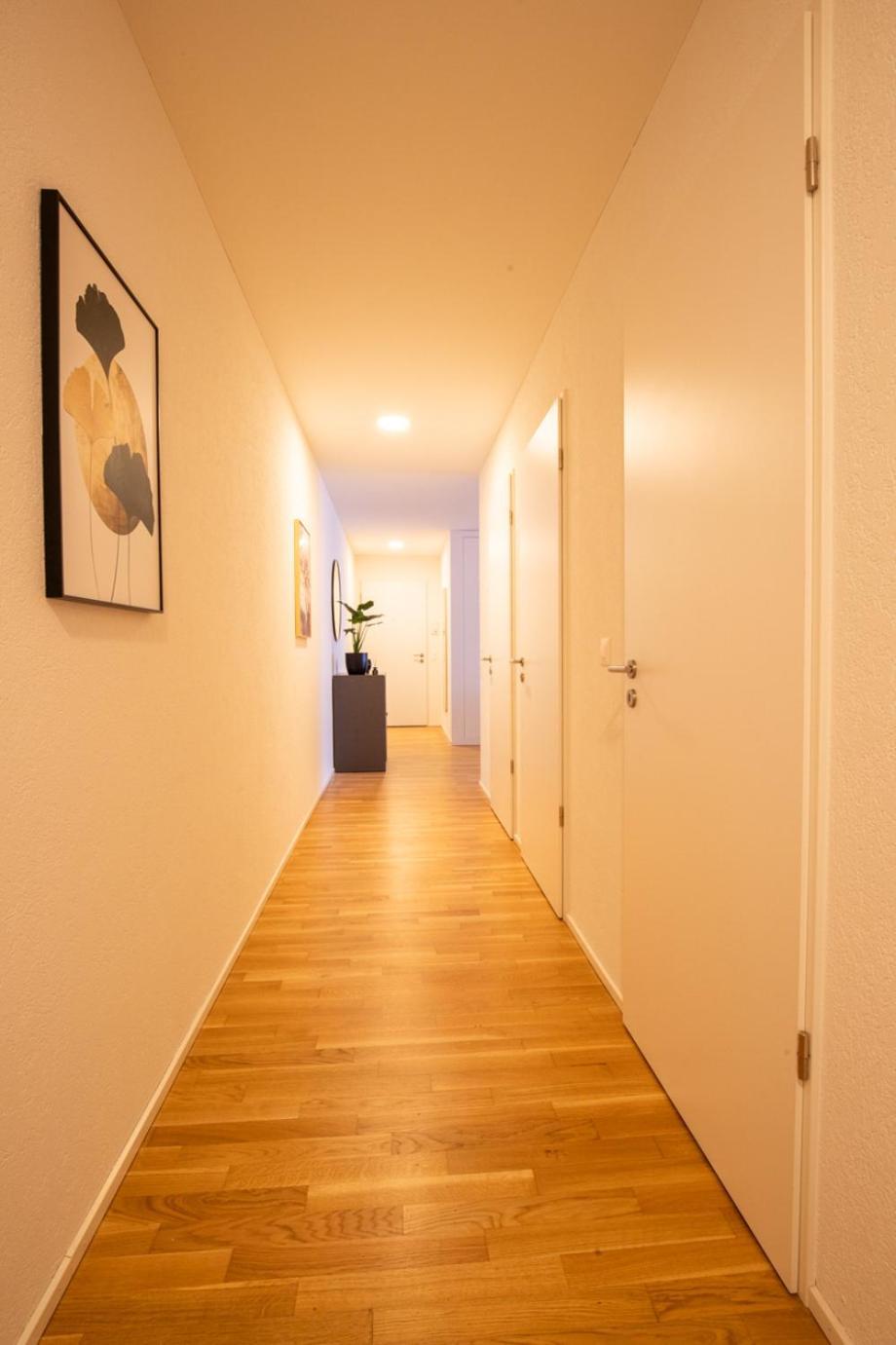 Special Einstein II Apartment Basel, Messe Kleinbasel 10-Star エクステリア 写真