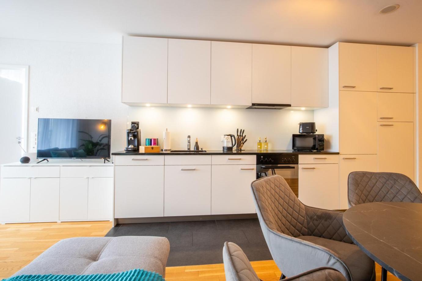 Special Einstein II Apartment Basel, Messe Kleinbasel 10-Star エクステリア 写真